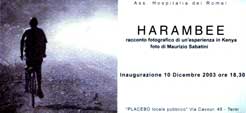 La mostra fotografica...