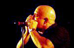 Kim Wilson